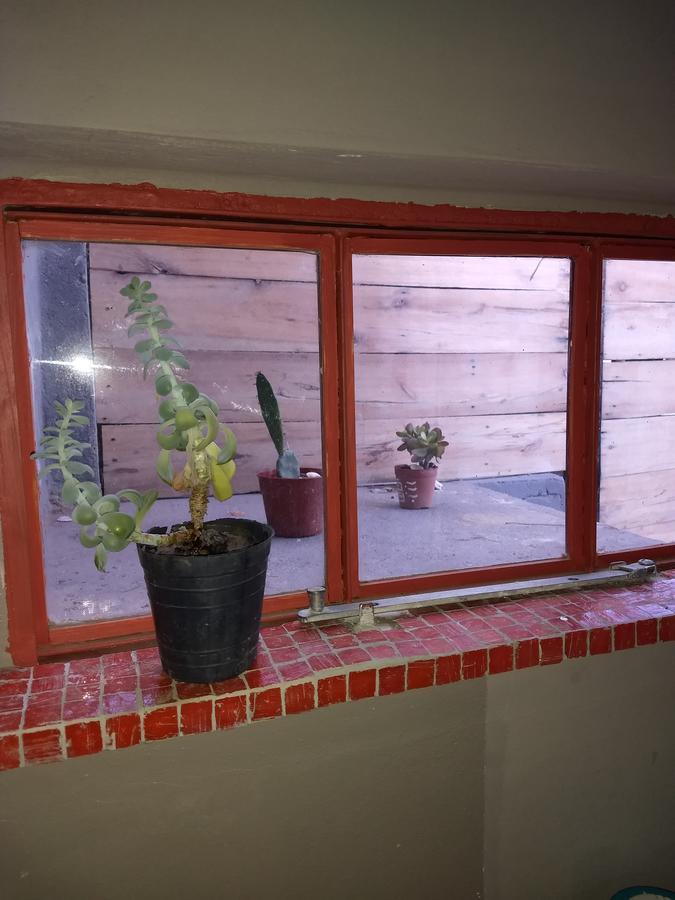 El Tamarisco Apartment Puerto Pirámides Екстериор снимка